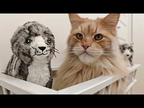 Buster Gets Imprisoned In His Own Home!