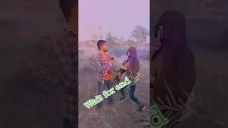 Download lagu dekh liliou ja hiou hala kare le re chhaira chup chup comedy video viral mp3 Download lagu dekh liliou ja hiou hala kare le re chhaira chup chup comedy video viral mp3