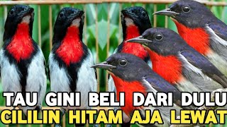 Download lagu PRICE 65 THOUSAND || IF I KNEW THIS, I WOULD HAVE BOUGHT IT EARLIER, THE BEAUTIFUL COLOR, THE SOU... mp3