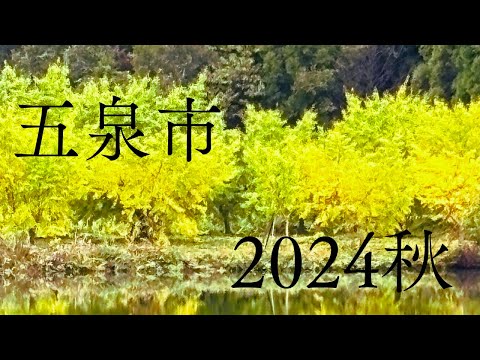 2024五泉市（紅葉）