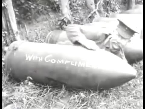 Wormy Boletus - Na bodáky!