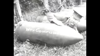 Video Wormy Boletus - Na bodáky vpřed!