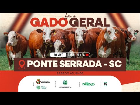 Leilão de Gado Geral, PONTE SERRADA/SC - 18/10/2025 14:00h