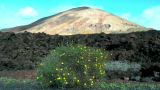 SPAIN most beautiful places of Lanzarote (hd-video)