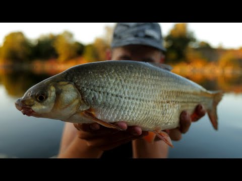Čarolija stick plovka, kako, kada i gdje ga koristiti. 4K