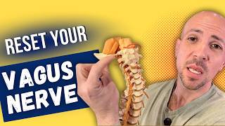 Vagus Nerve Reset: Why the Upper Neck Is the Key Nobody Tells You About