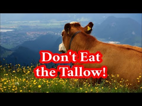 download lagu mp3 mp4 Tallow Ingredient, download lagu Tallow Ingredient gratis, unduh video klip Tallow Ingredient