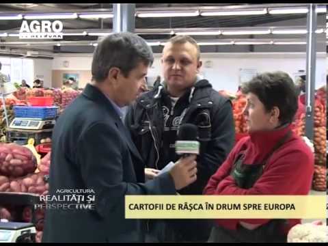 Realitati si Perspective Cartofii de Rasca