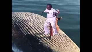 Man dances on whale carcass