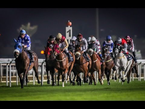 23rd Race Meeting of Season 2018 / 2019