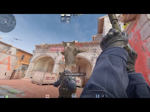 Steam Community :: Video :: CS2 Cat Edit