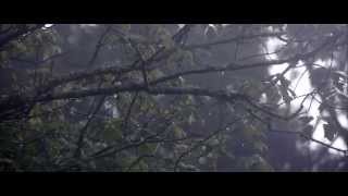 Things We're Not Supposed to Do