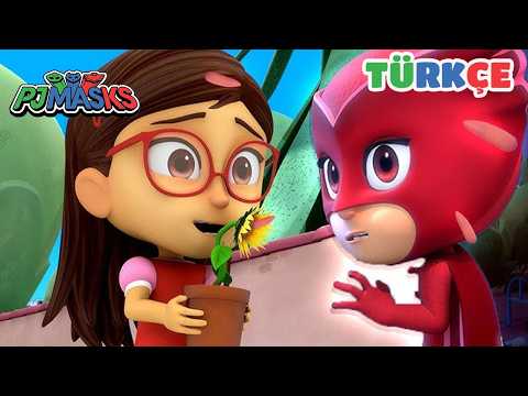 Baykuş Kız ve Ninjalinolar Takım Oluyor! 🦉 Liderlik Sınavı - Pijamaskeliler Türkçe