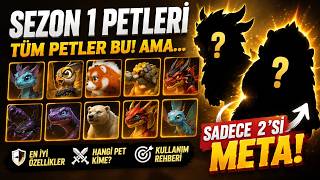 🔥 SEZON 1 PET REHBERİ! Sadece 2 Pet Gerçekten META! | Call of Dragons