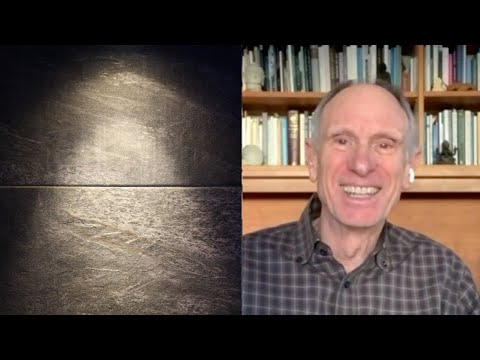 Is consciousness what you are? And what reality is? with Joseph Goldstein | Living Mirrors #28 clips