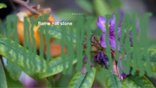 Dialect – “Flame Not Stone”