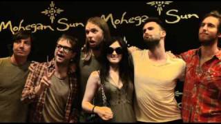 Palm Trees And Power Lines Part Two