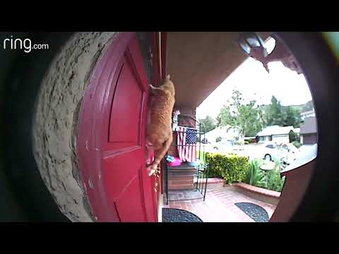 iTech Smart Home Inc. video.