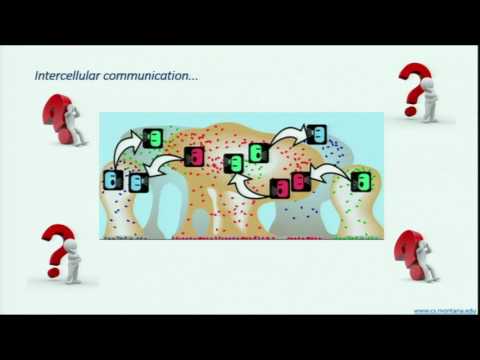 Silvia Oggero - ESR 1 presentation (Maastricht)