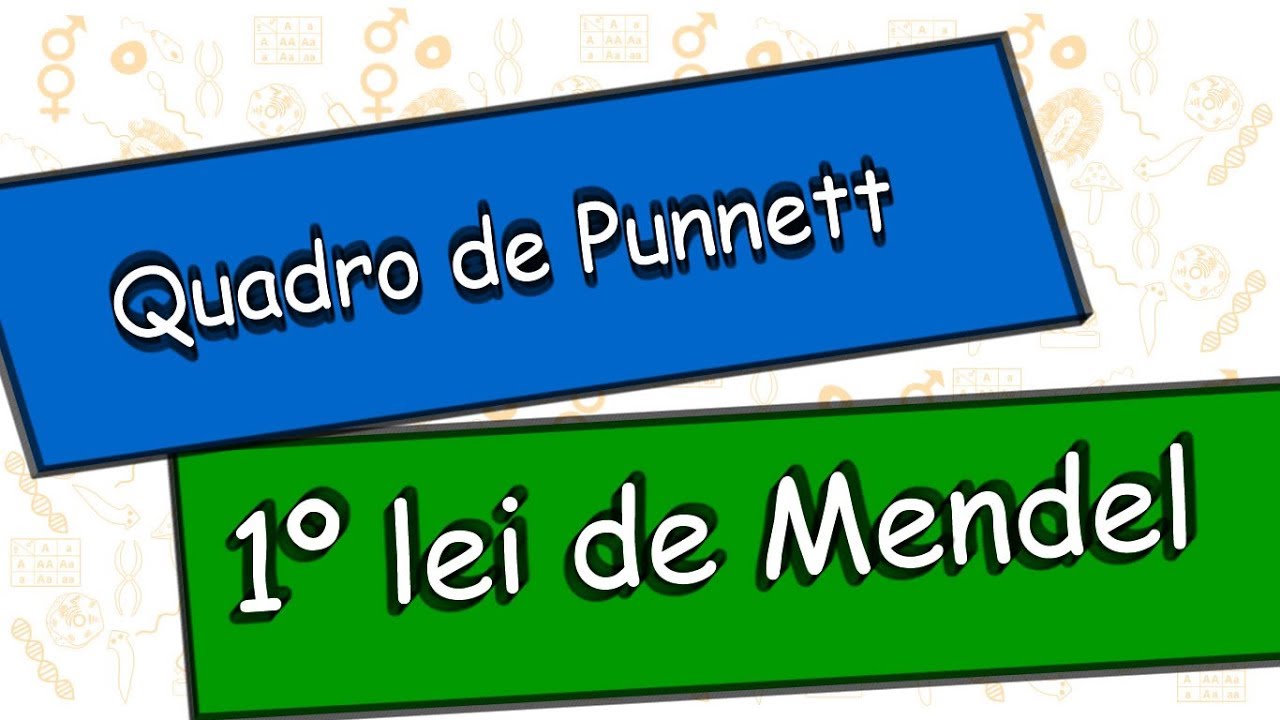 Quadro de Punnett e a primeira lei de Mendel.