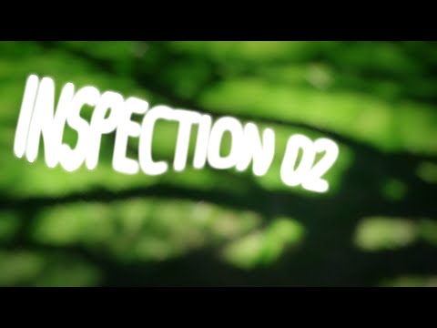 Inspection02