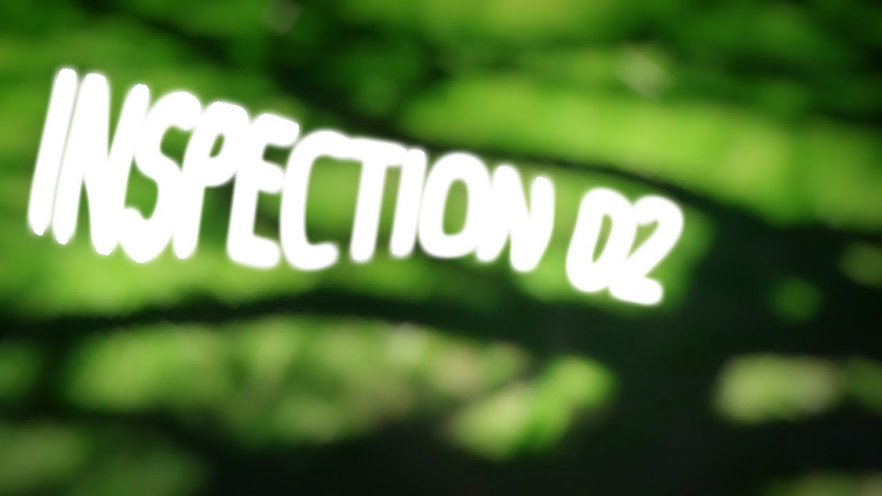 Inspection02