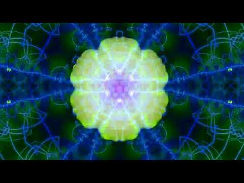 yard went on forever X