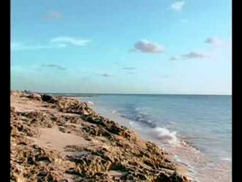 Bimini Bay Resort & Marina Video 1 of 2