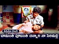 CHAMANTI PHUBANTI CHINNARI NA SIRIMALLI SONG PUTTINTIKI RA CHELLI ARJUN MEENA MADHUMITA