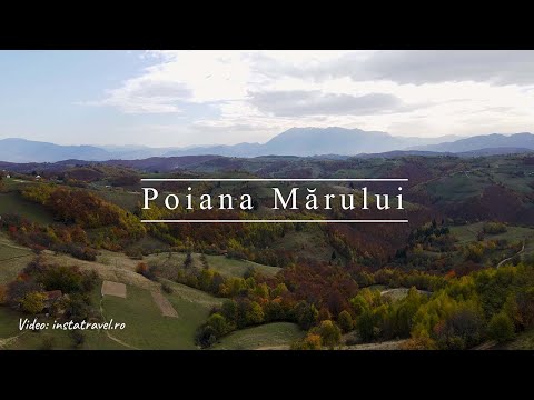 Poiana Mărului - traseu deosebit cu vedere spre 4 munți
