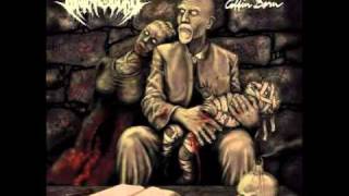 THE GROTESQUERY - This Morbid Child (HQ)