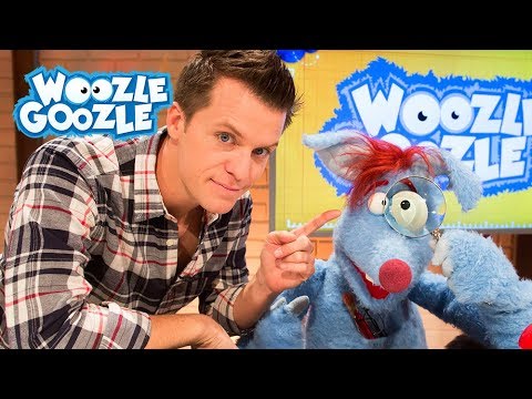 Wie funktionieren Augen? I WOOZLE GOOZLE