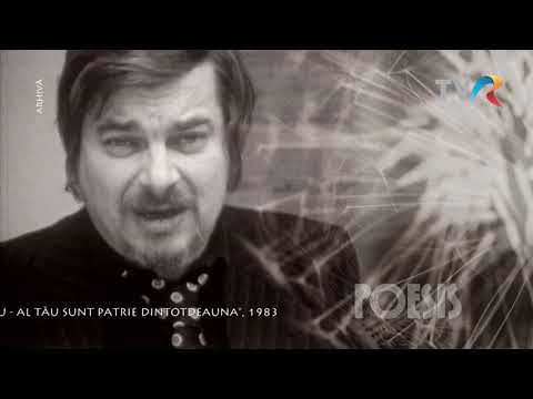 Poesis: Nichita Stănescu