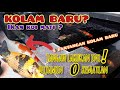 Cara Memelihara Ikan Hias Di Kolam