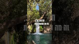 מה אתה שובר את הראש (הרב אייל עמרמי) - התמונה מוצגת ישירות מתוך אתר האינטרנט יוטיוב. זכויות היוצרים בתמונה שייכות ליוצרה. קישור קרדיט למקור התוכן נמצא בתוך דף הסרטון