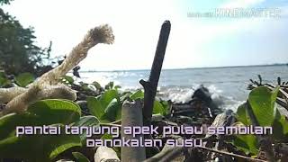 preview picture of video 'Pantai Tanjung Apek Pulau sembilan Pangkalan susu Brandan SUMATRA UTARA (MEDAN)'