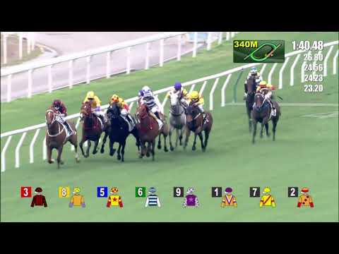 5/4/2021 (556) Glorious Dragon - Matthew Poon