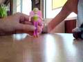 Polly Pocket