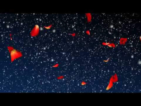 Обманет грешная любовь автор И СУРУЧАНУ кавер Г Погорельская