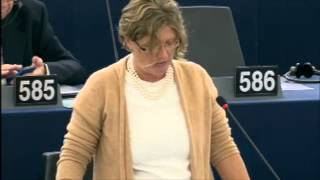 Gál Kinga felszólalt ez EP plenáris ülésén az emberi jogi jelentés vitájában