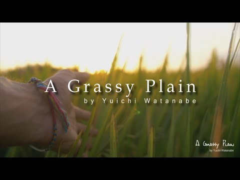 A Grassy Plain (by Yuichi Watanabe)