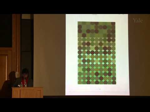 Color in Context: Revisiting Albers, with Anoka Faruqee