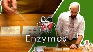 Enzymes