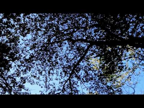 Drew The Architect, Cat Soup & Hnrk - Støv (clean edit)