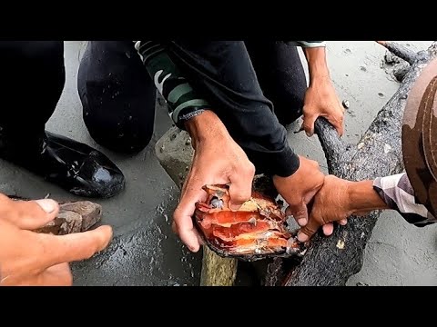 EP273:PART2-AGAWAN SA TAMILOK/PAGHILA NANG LAMBAT