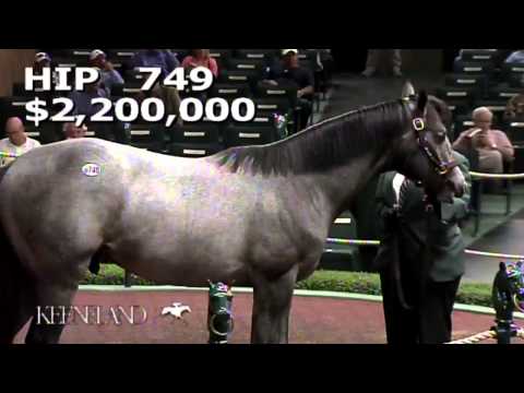 Keeneland September Yearling Sale Wrap 2014