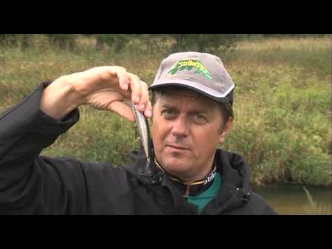 Учебное видео о воблере Strike Pro Euro Minnow