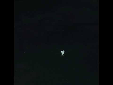 YouTube 썸네일