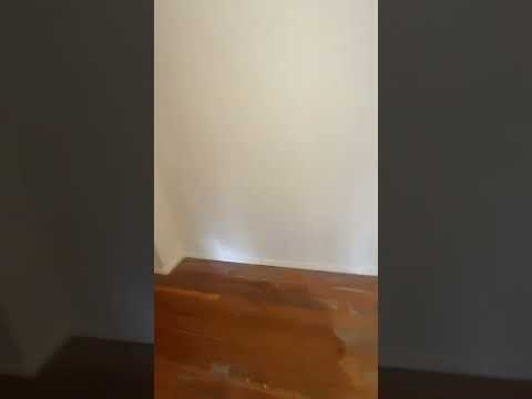 Boy-256 N 500 W Provo, UT 84601 - Video 5 of 5