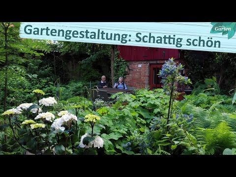 Kleiner schattiger Hinterhofgarten | MDR Garten